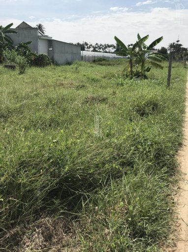 Bán đất nông nghiệp tại phường Phước Mỹ, Phan Rang, Ninh Thuận 1