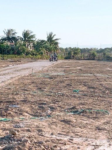 Chỉ 288 triệu sở hữu ngay lô đất TP Phan Rang- Tháp Chàm Sổ có sẵn Giá đầu tư nhanh 3