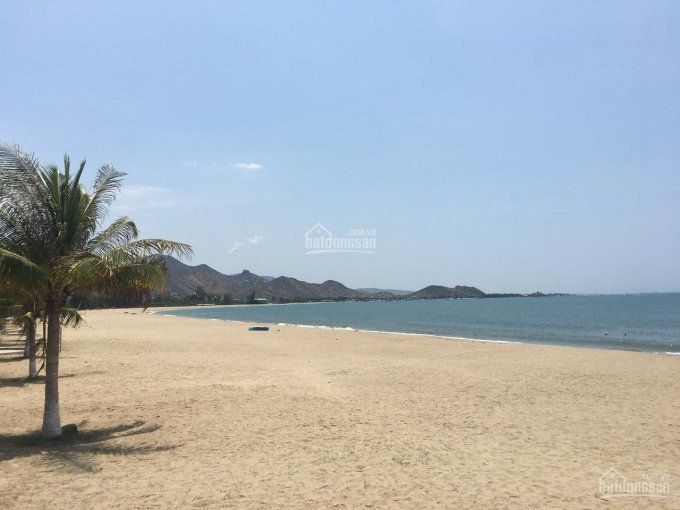 Chính chủ bán đất TTTP, cạnh khu hành chính đường Nguyễn Tri Phương, Mỹ Đình, Phan Rang-Tháp Chàm 4