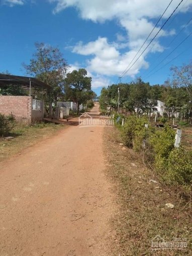 Chính chủ cần bán đất ở đô thị Hẻm Bùi Dự giữa trung tâm thành phố Pleiku, tỉnh Gia Lai 3