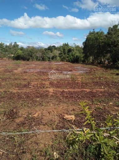 Chính chủ cần bán đất ở đô thị Hẻm Bùi Dự giữa trung tâm thành phố Pleiku, tỉnh Gia Lai 4