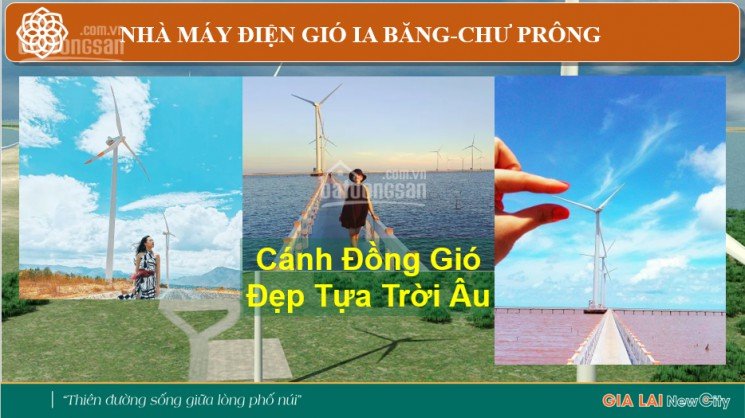 Phòng kinh tế hạ tầng huyện Chư Prông làm chủ đầu tư - từ 239triệu/130m2 - SHR - Gia Lai New City 4