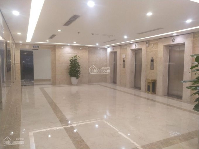 2200m2 Diện Tích Văn Phòng Tòa Nhà Tnr Tower 54a Nguyễn Chí Thanh, đống đa 1