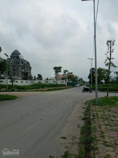 Bán 140m2 đất Khu A Giai đoạn 1 Tại V-greencity Phố Nối Hưng Yên 1