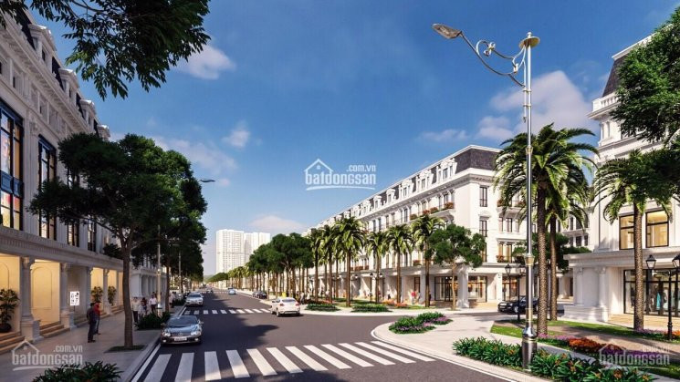 Bán Các Biệt Thự Phong Cách Tân Cổ điển Louis City Hoàng Mai Mặt đường Tân Mai, Diện Tích 300m2 7