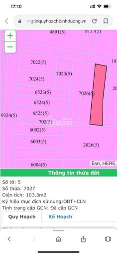 Bán Gấp Lô đất Diện Tích 103m2 (4,5x23m), P Tân đông Hiệp, Tp Dĩ An, Bình Dương, Giá Chính Chủ 6