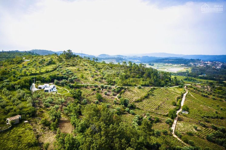 Biệt Thự "hồ Trên Núi" - View đồi, View Suối 4