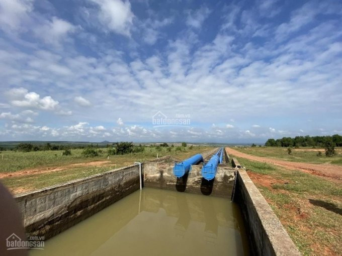 Chỉ 60 Ngìn/m2, Sổ đỏ Riêng Chính Chủ, đất Bắc Bình: 3000m2, 5000m2, 7000m2, 10000m2, 15000m2 3