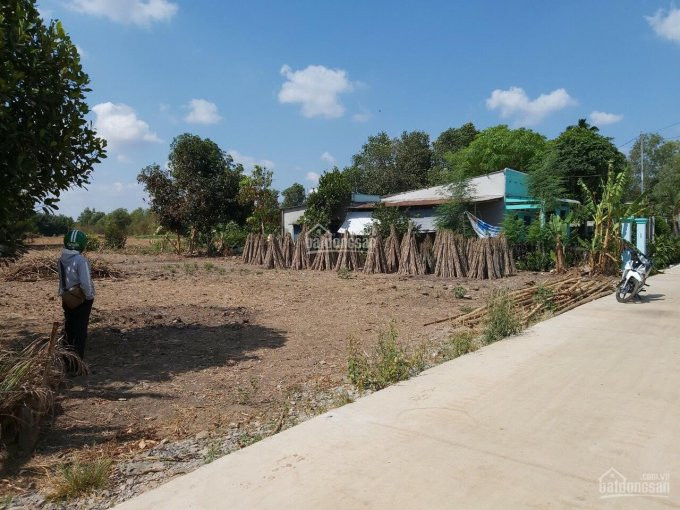 Chín Chủ Bán 3 Lô Bàu Cạn Cách Long Thành 5km2 - Sân Bay Long Thành 4