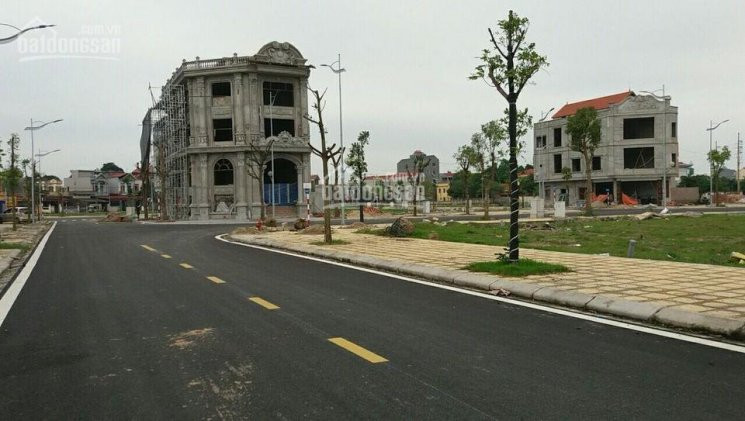 Chính Chủ Bán đất Nền Dự án Có Sổ đỏ Tại Thị Trấn Hồ, Thuận Thành, Bắc Ninh 2