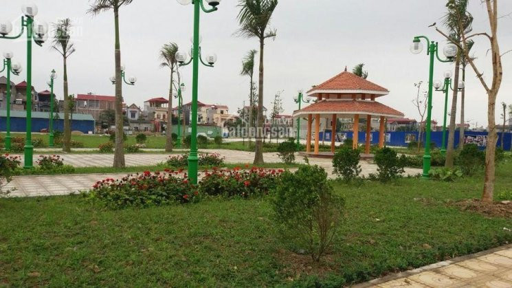 Chính Chủ Bán đất Nền Dự án Có Sổ đỏ Tại Thị Trấn Hồ, Thuận Thành, Bắc Ninh 3