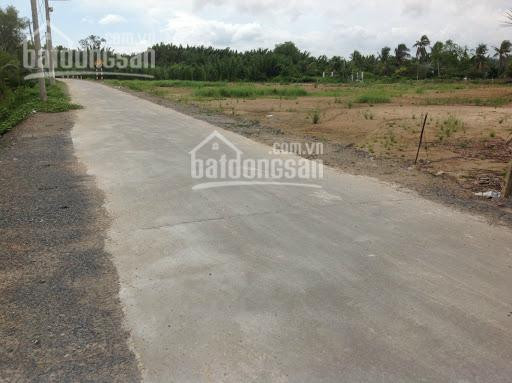 Chính Chủ Bán Gấp Miếng đất Vườn 1000m2, Giá 345 Triệu - Sổ Hồng Riêng 1