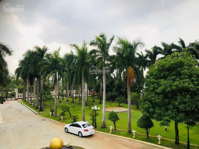 Chính Chủ Bán Nhanh Biệt Thự 258 Long Thuận, Long Phước, Q9 Dt: 80m X 100m, 8000m2 đất, 3000m2 đất Thổ Cư 1