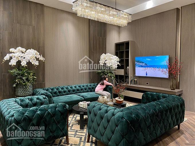 Chính Chủ Bán Nhanh Căn 200m2 Khu Hoa Sữa Hoàn Thiện Full Nội Thất Giá Thấp Nhất Thị Trường 5