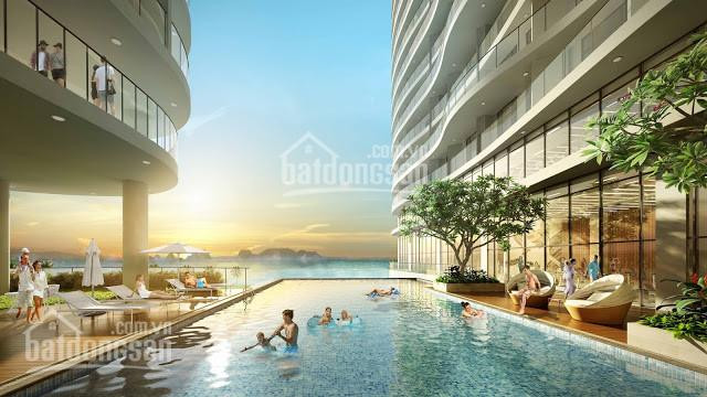 Chính Chủ Bán Nhanh Căn Hộ Citadines Hạ Long Tầng Cao 4