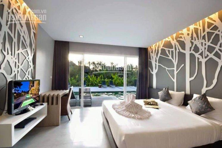 Chính Chủ Bán Nhanh Căn Hộ Sunrise 138m2, Căn Góc 3pn Khu South Nội Thất Châu âu 51 Tỷ Sổ Hồng Call 0977771919 2