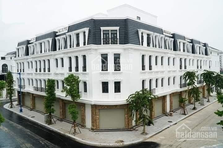 Chính Chủ Bán Nhanh Căn Xẻ Khe Shophouse Hoàng Huy Mall  Rẻ Nhất Thị Trường 1