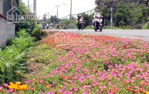 Chính Chủ Bán Nhanh đất Biệt Thự Sinh Thái, Sổ Hồng Riêng Tặng Ngay 5 Chỉ Vàng Và Cổng, Tường Rào Biệt Thự 5