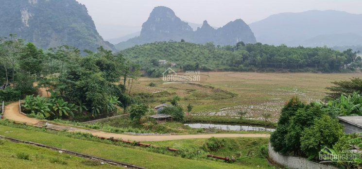 Chính Chủ Bán Nhanh đất Kim Bôi Hòa Bình 21700m2 Có 1000m Thổ Cư, Bám Hồ View Núi đá, Cánh đồng, Cạnh Suối Khoáng 7