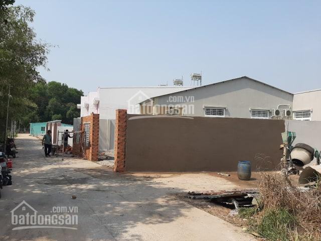 Chính Chủ Bán Nhanh đất Tân An, Thủ Dầu Một, Nhánh Huỳnh Thị Hiếud/t: 104x198 đất Nở Hậu 118, đường Bê Tông 5m 1