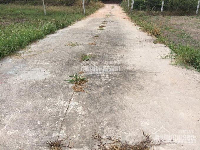 Chính Chủ Bán Nhanh đất Tân An, Thủ Dầu Một, Nhánh Huỳnh Thị Hiếud/t: 104x198 đất Nở Hậu 118, đường Bê Tông 5m 3
