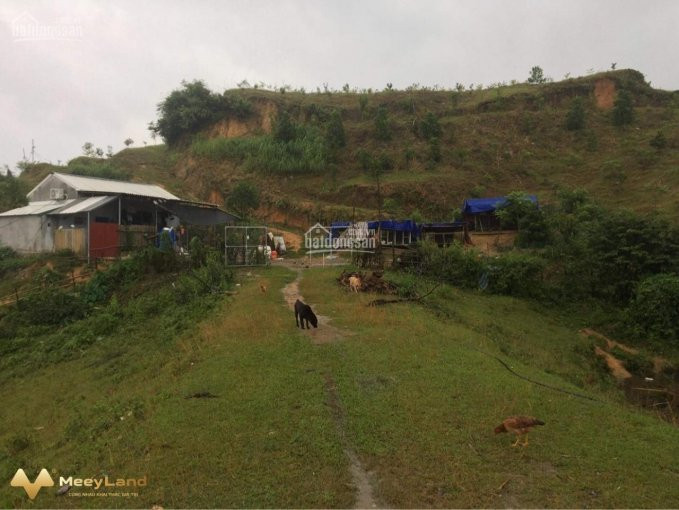 Chính Chủ Bán Nhanh đất Xã Cao Phong, Hòa Bình, đường Giao Thông Vào Tận đất, View Hồ, Hợp Làm Sinh Thái 5