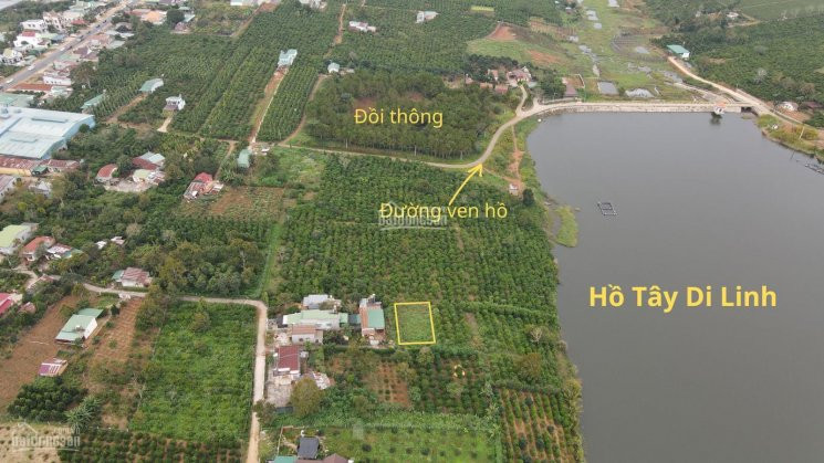 Chính Chủ Bán Nhanh Nền đất View Tuyệt đẹp Ven Hồ Tây Di Linh, Cách Ql 20 Chỉ 200m 1