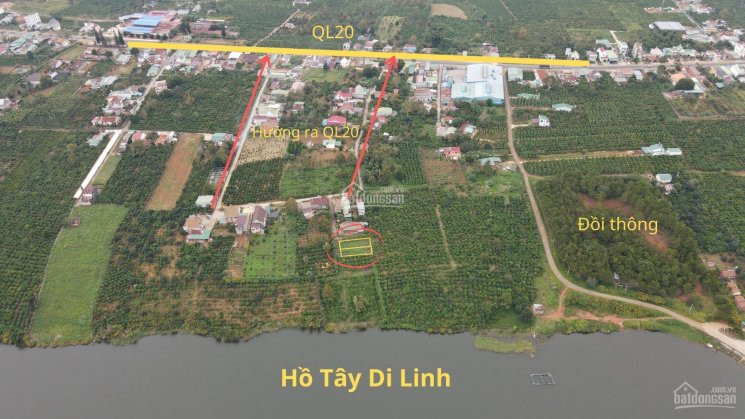 Chính Chủ Bán Nhanh Nền đất View Tuyệt đẹp Ven Hồ Tây Di Linh, Cách Ql 20 Chỉ 200m 2