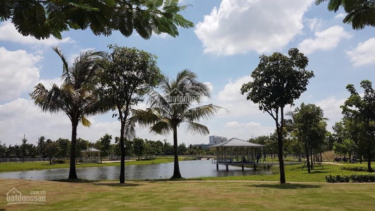 Chính Chủ Bán Nhanh Nhà Park Riverside Quận 9 Dt 825m Giai đoạn 1 View Hồ Bơi 1