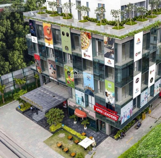 Chính Chủ Bán Nhanh Nhà Phố Shophouse 272m2 La Astoria 2 Ngang 14m, Thích Hợp Mở Studio, Yoga, Dạy đàn, Văn Phòng 6