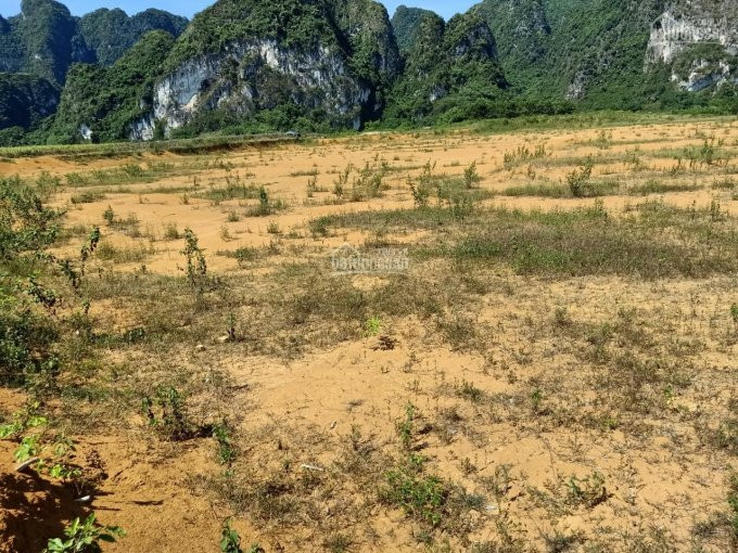 Chính Chủ Bán Nhanh Nhanh Dự án Trại Lợn Quy Mô 22ha Tại Sào Báy, Kim Bôi, Hòa Bình 2