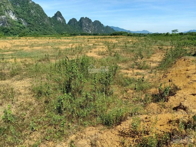 Chính Chủ Bán Nhanh Nhanh Dự án Trại Lợn Quy Mô 22ha Tại Sào Báy, Kim Bôi, Hòa Bình 4