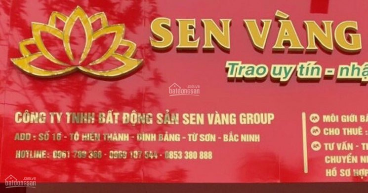 Chính Chủ Bán Nhanh Thửa đất 130m- Mt 6,5m- Kđt Babaco Từ Sơn, Bắc Ninh 3