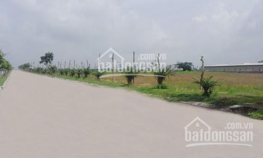 Chính Chủ Cần Bán đất Công Nghiệp Tại Hưng Yên Diện Tích 2700m2, 5000m2, 1ha, 2ha, 3ha, 5ha, 10ha, 20ha 1