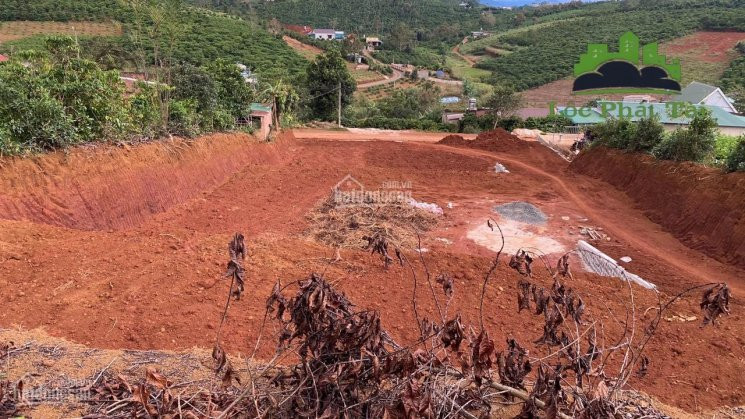 Chính Chủ Cần Bán đất Tại đường Tôn Thất Thuyết, Bảo Lộc 2