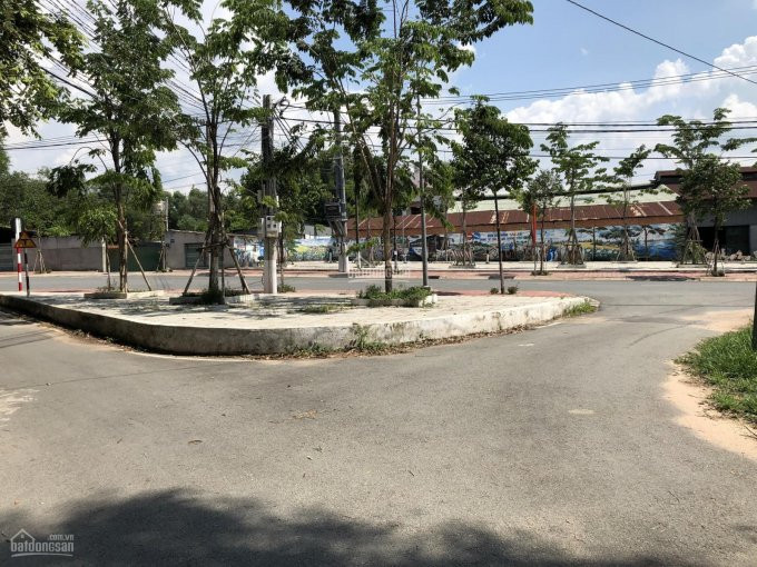 Chính Chủ Cần Bán Lô đất Mặt Tiền Nhựa Sát Bên Thcs Trần Bình Trọng, Thủ Dầu Một, Dt 6x30, Giá 1tỷ5 4