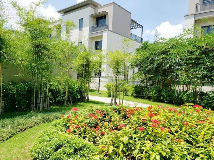 Chính Chủ Cần Bán Shophouse Swan Park, Dt 250m2, Vị Trí đường Lớn 60m, Gần Khu Tiện ích, Giá 7,2 Tỷ 6