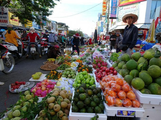 Chính Chủ Cần Tiền Bán Gấp 2 Lô đất Huỳnh Thị Tươi, Tp Dĩ An, Cách Công An Phường Tân Bình 400m, 78m2/815tr 6