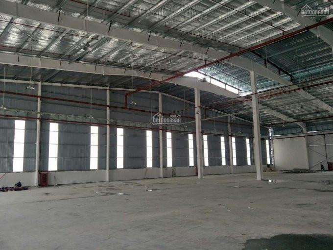 Chính Chủ Cho Thuê Nhanh 10000m2 Kho Xưởng Tại Khu Công Nghiệp đài Tư, Long Biên, Hà Nội 5