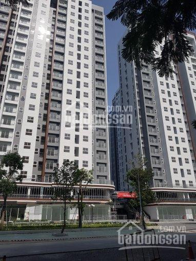 Chính Chủ Cho Thuê Nhanh Căn Conic Riverside, Dt 50m2 - 1pn - 1wc, Giá 5tr/tháng Lh: 0962499533 2