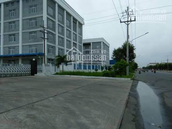 Chính Chủ Cho Thuê Nhanh Kho Diện Tích 500m2 - 2000m2 Trong Kcn Tân Bình, Q Tân Phú Lh 0783371776 - Tuấn Phong 1