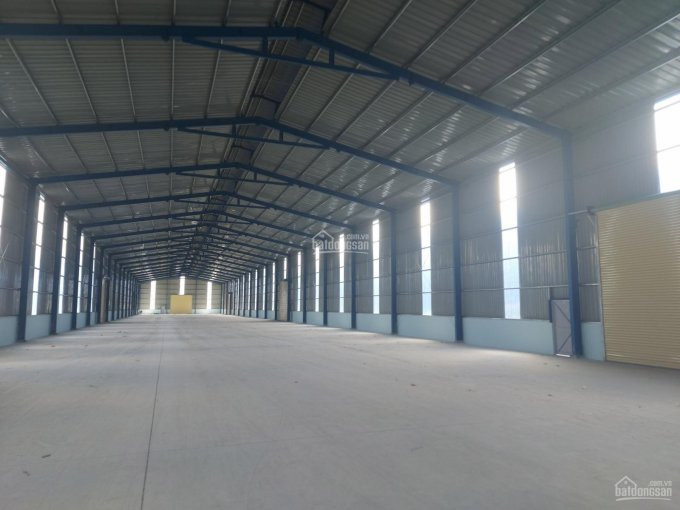 Chính Chủ Cho Thuê Nhanh Kho Xưởng đầy đủ Cơ Sở Hạ Tầng 10000m2 Xã Tân Hưng, H Bàu Bàng, T Bình Dương 2