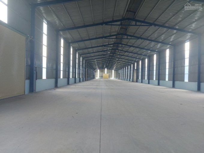 Chính Chủ Cho Thuê Nhanh Kho Xưởng đầy đủ Cơ Sở Hạ Tầng 10000m2 Xã Tân Hưng, H Bàu Bàng, T Bình Dương 3