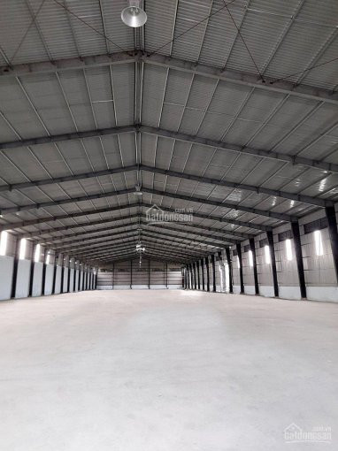 Chính Chủ Cho Thuê Nhanh Nhà Xưởng 3400 M2, 6800 M2, 1500 M2 ở Huyện Cần đước, Tỉnh Long An Lh: 0909196214 5