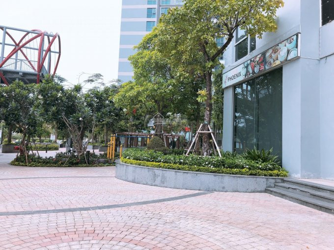 Chính Chủ Cho Thuê Nhanh Shophouse Kinh Doanh Vinhomes Central Park Ngay Mặt Tiền đường Chính Dt 160m2 Giá Tốt 3