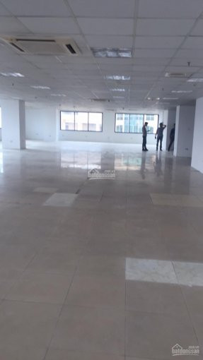 Chính Chủ Cho Thuê Nhanh Vp Phố Nguyễn Chánh, Quận Cầu Giấy 35m2, 60m2, 85m2, 190m2, 500m2, Giá 180ng/m2/tháng 4