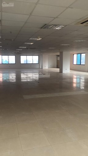 Chính Chủ Cho Thuê Nhanh Vp Phố Nguyễn Chánh, Quận Cầu Giấy 35m2, 60m2, 85m2, 190m2, 500m2, Giá 180ng/m2/tháng 6