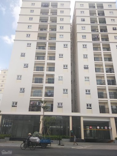 Chuyên Bán Các Căn Mặt Tiền Phan Văn Trị, Nguyễn Văn Lượng Và đường 30m Của Cityland Giá 246 Tỷ 7