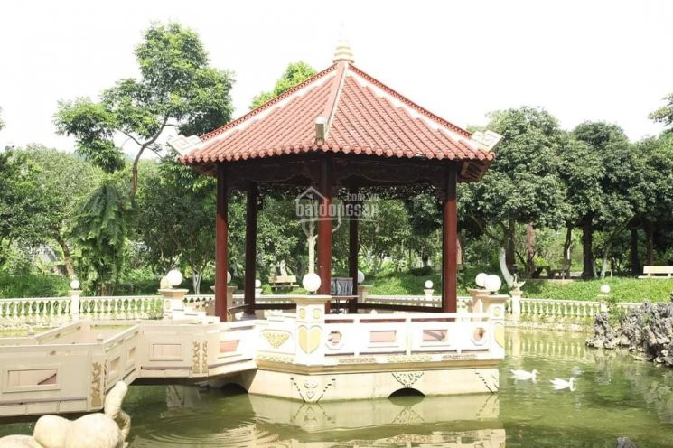 Chuyên Bán đất Hòa Lạc, Khu Nghỉ Dưỡng, Trang Trại, Kho Nhà Xưởng Dt 500m, 1000m2,2ha, 20ha 1