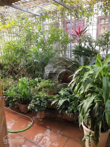 Cực Hiếm-nhà đẹp-ô Tô đỗ Cửa-1 Nhà Ra Phố 120m X 5 Tầng-xã đàn- đống đa-76 Tỷ 7